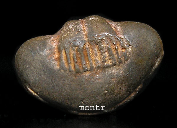 พระปิดตายันต์ครู ทองเสี้ยน ใหญ่ หลวงพ่ออุ้น วัดตาลกง 