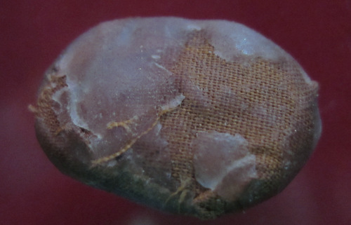 เบี้ย+รูปถ่ายหลวงปู่คำบุ