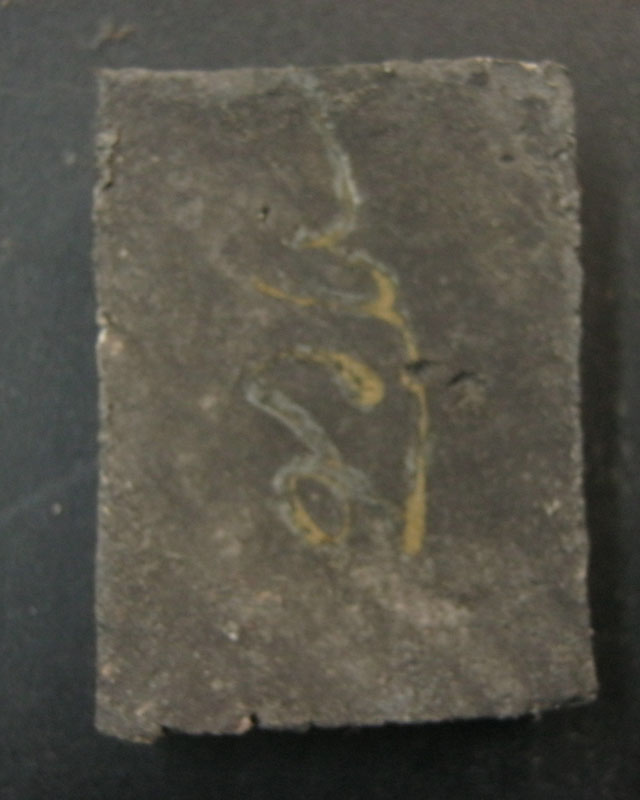 สมเด็จเยี่ยวชะนี ฝั่งตะกรุด หลวงพ่อตัด วัดชายนา