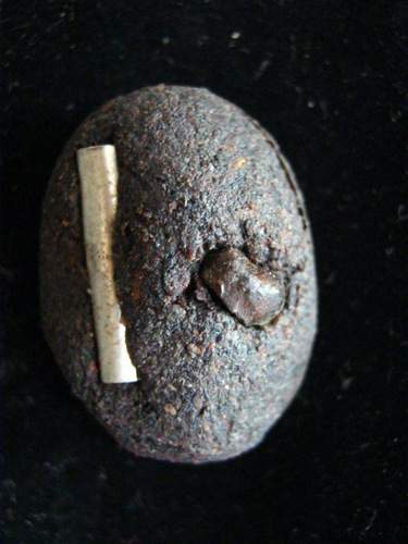 ล็อกเก็ตเล็กหลวงปู่คำบุ รุ่นศิษย์สร้างถวาย ปี 55