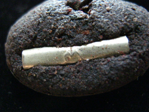 ล็อกเก็ตเล็กหลวงปู่คำบุ รุ่นศิษย์สร้างถวาย ปี 55