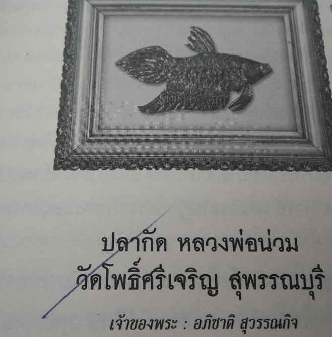 ปลากัด หลวงพ่อน่วม วัดโพธิ์ศรีเจริญ อ.ศรีประจันต์ จ.สุพรรณบุรี ตัวที่ 1