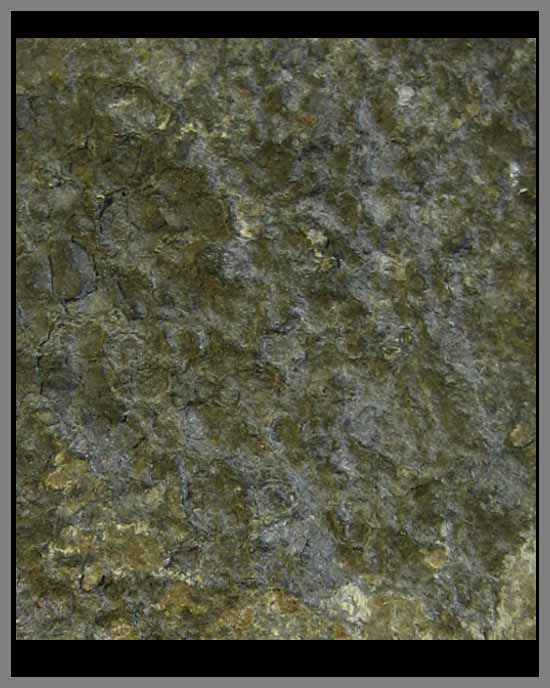 พระซุ้มกระรอกกระแต กรุวัดมหาธาตุ เนื้อชินเงิน พิมพ์เล็ก ลพบุรี