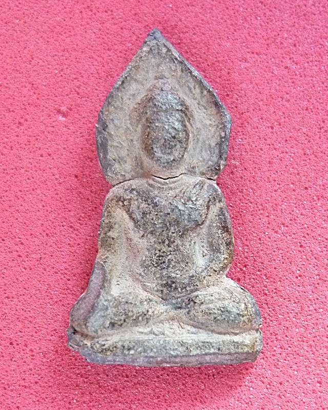 ปรกโพธิ์จิ๋ว เนื้อชิน