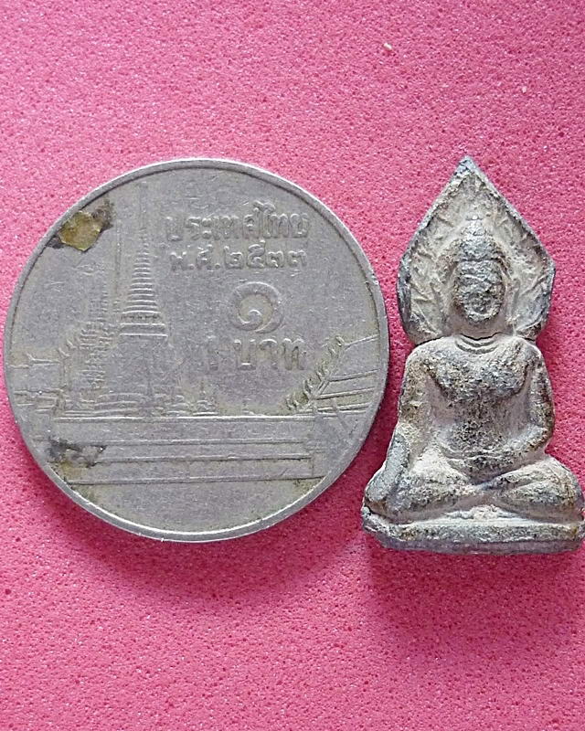 ปรกโพธิ์จิ๋ว เนื้อชิน