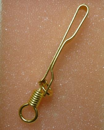 แหนบพระทองคำ