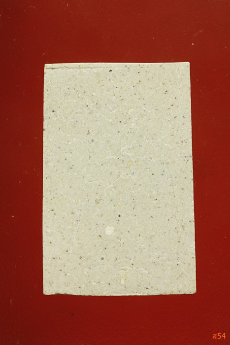 พระสมเด็จบางขุนพรหม ปี 2551...../2