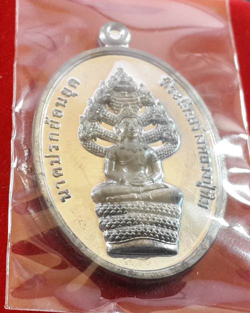 **เหรียญนาคปรก ย้อนยุค (สร้างหลวงปู่ทิมองค์ใหญ่) เนื้อตะกั่ว สร้าง 1,000เหรียญ No.428