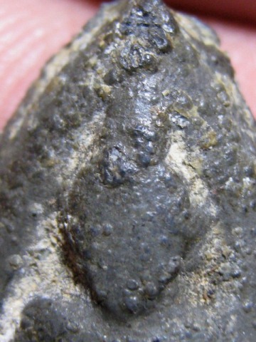 พระกลีบบัวหลังปิดตา เนื้อชินเขียว หลวงปู่บุญ วัดกลางบางแก้ว จ.นครปฐม มาพร้อมบัตรรับรอง  