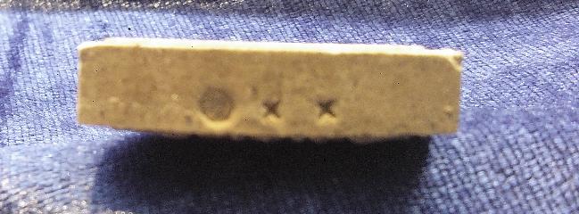 ขุนแผนเนื้อว่านผสมผงรกแมวหลวงปู่คำบุ (ว่านกาฝากรักกาฝากหลง)