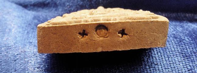 ขุนแผนเนื้อว่านผสมผงรกแมวหลวงปู่คำบุ (ว่านดอกทอง)