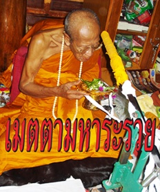 ขุนแผนเนื้อว่านผสมผงรกแมวหลวงปู่คำบุ (ผสมผงเหล็กน้ำพี้)