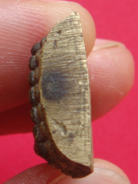 พระชินราชรุ่นสงครามเกาหลี วัดสุทัศน์