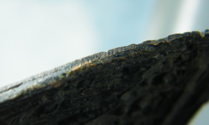 เหรียญหล่อสิบทัศน์ พิมพ์ใหญ่ หลวงพ่อเงิน วัดดอนยายหอม  ปี12