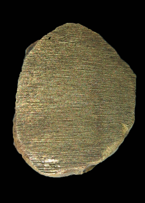 ไตฮงกง รุ่นแรก 