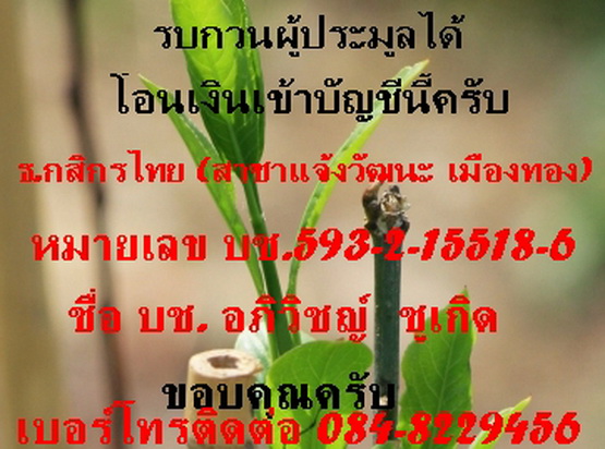 รูปหล่อ ลพ.เงิน วัดท่ามะไฟ ก้นอุดผง เนื้อเก่าสวย ๆ