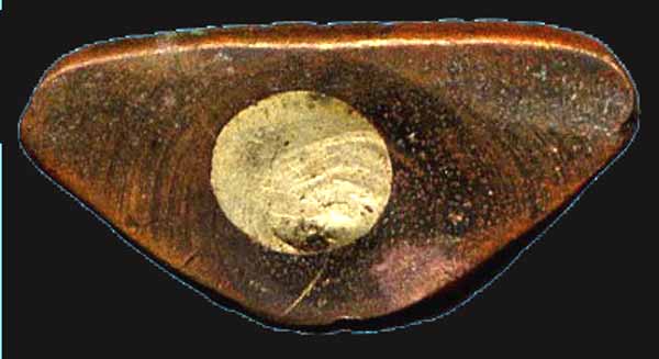 *รูปเหมือนปั๊ม อุดกริ่ง รุ่นแรก ปี๐๗..ลพ.ช้อย วัดหัวงิ้ว นครสวรรค์*