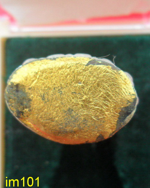 พระกริ่งชินบัญชรมหาอุปคุต หลวงปู่คำบุ คุตตจิตโต วัดกุดชมภู