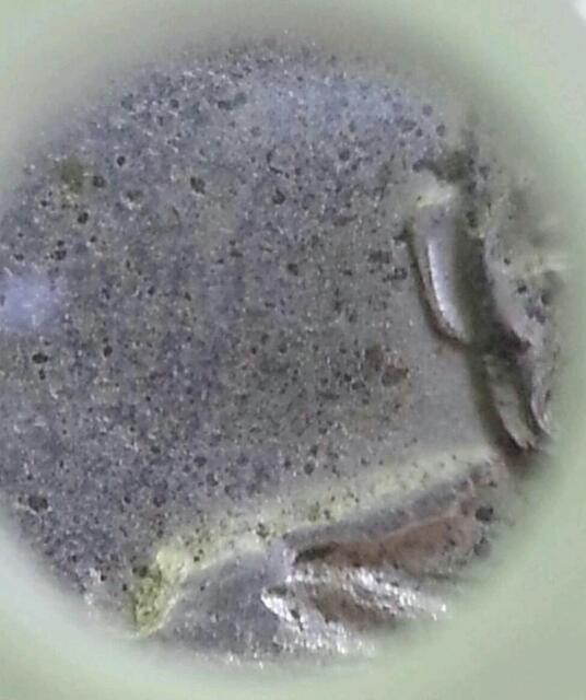 เหรียญจิ๊กโก๋เล็ก หลวงพ่อเงิน วัดดอนยายหอม จ.นครปฐม ปี 2506  