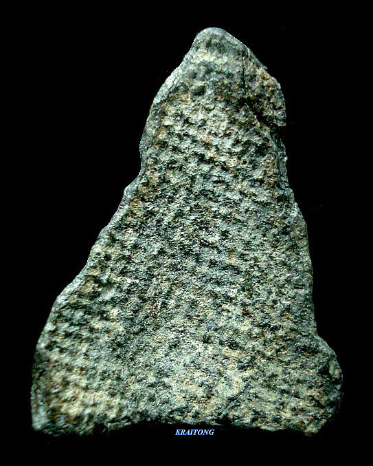  พระเชตุพน หน้าโหนก สุโขทัย