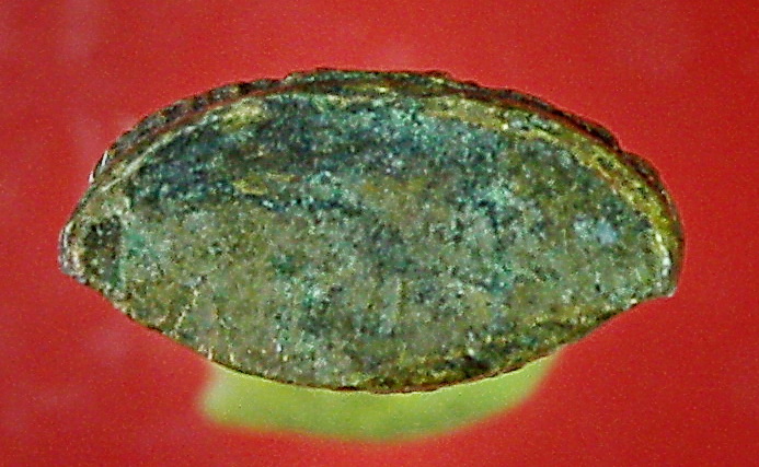 พระแก้วมรกตทรงเครื่องฤดูร้อน พิมพ์ปั๊ม ออกวัดท่าแพ ปี2504 พ่อท่านคล้ายปลุกเสก