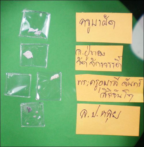 ครูบาศรีวิชัย วัดพระธาตุดอยกู่ เชียงใหม่ ปี56 สูง12นิ้ว ฐาน3นิ้ว พร้อมรายการด้านล่าง