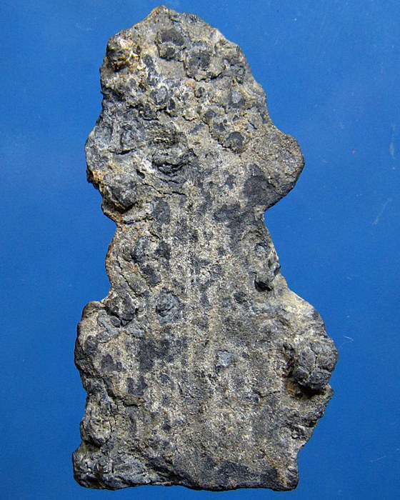 พระปรกโพธิ์เชียงแสนปางมารวิชัยพิมพ์เล็กเนื้อชินเงิน 1