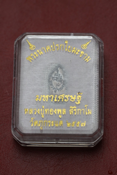 พระปรกมหาเศรษฐี หลวงปู่ทองพูล วัดภูกระแต จ.บึงกาฬ เนื้อทองแดง(๒) 