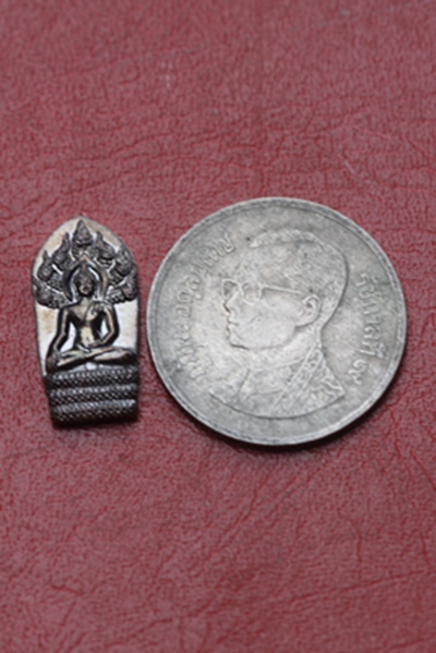 พระปรกมหาเศรษฐี หลวงปู่ทองพูล วัดภูกระแต จ.บึงกาฬ เนื้อทองแดง(๑)