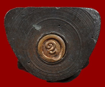 รูปหล่อหลวงพ่ออี๋เนื้อนวะปี19