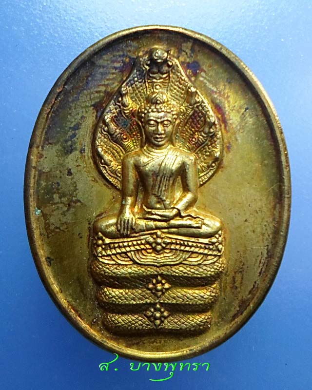 เหรียญนาคปรก หลวงพ่อแพ วัดพิกุลทอง
