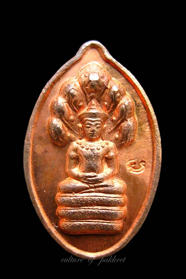 พระนาคปรกเม็ดฟักทอง หลวงปู่หงษ์ พรหมปัญโญ (231)
