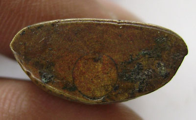 พระพุทธโคม  