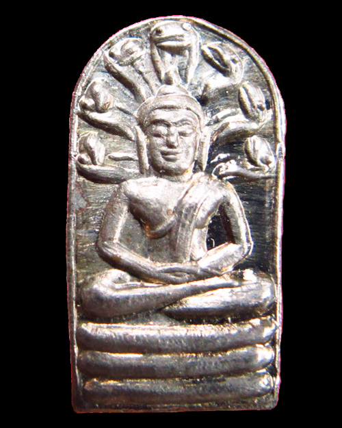 พระนาคปรก (ปรกงูยิ้ม) หลวงปู่นาม วัดน้อยชมภู่