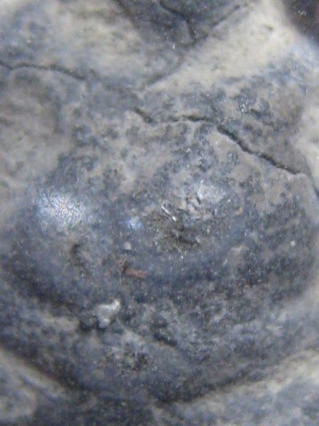 พระสังขจายย์ เนื้อชิน กรุวัดท่าพระ กรุงเทพฯ ราคาเบา ๆ ใช้พุทธคุณ