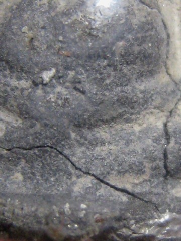 พระสังขจายย์ เนื้อชิน กรุวัดท่าพระ กรุงเทพฯ ราคาเบา ๆ ใช้พุทธคุณ