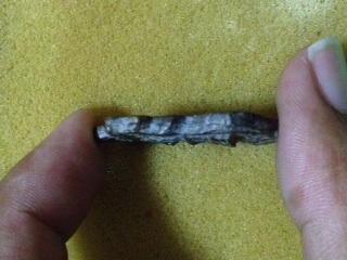 เหรียญหล่อวัดอุบลเคาะเดียว