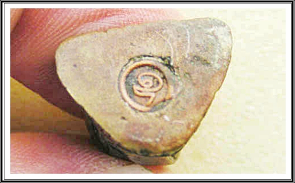 รูปเหมือนหลวงพ่อแพ วัดพิกุลทอง