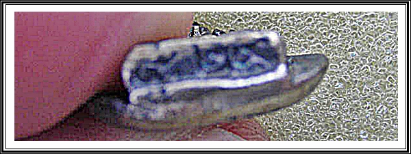 นาคปรกใบโพธิ์ เจ้าคุณนรฯ วัดเทพศิรินทราวาส