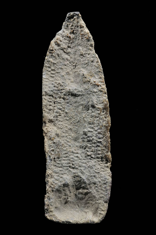  พระร่วงยืน กรุวัดกระเจียว