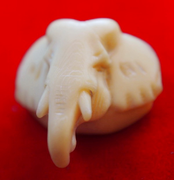 หัวช้างงาแกะ สำหรับร้อยสร้อยสวยๆครับ