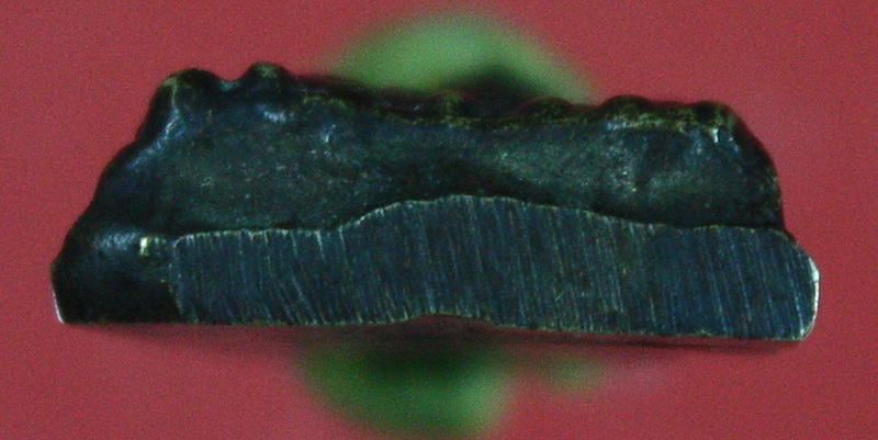 หลวงปู่ทวดวัดไทร จ.นครสวรรค์ หลวงปู่ทิมปลุกเสก ปี 2506(พิมพ์หน้าหนุ่ม)