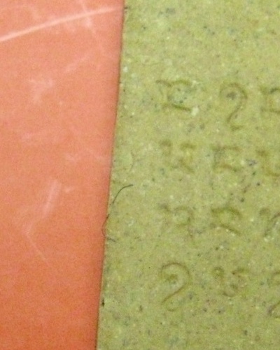 สมเด็จแก้วมณีโชติ หลวงปู่สวน ฉันทโร วัดนาอุดม จ.อุบลราชธานี (3)