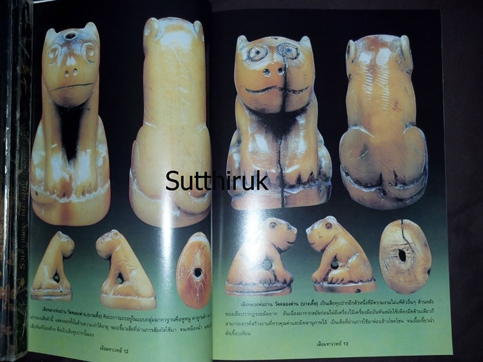 หนังสือ เสือ มหาเวทย์ เล่ม 1