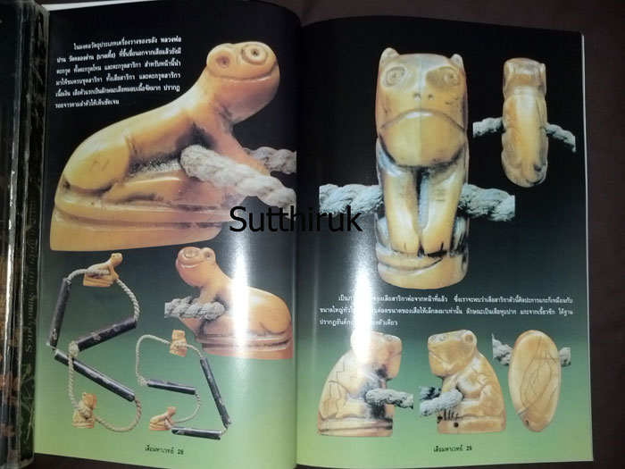 หนังสือ เสือ มหาเวทย์ เล่ม 1