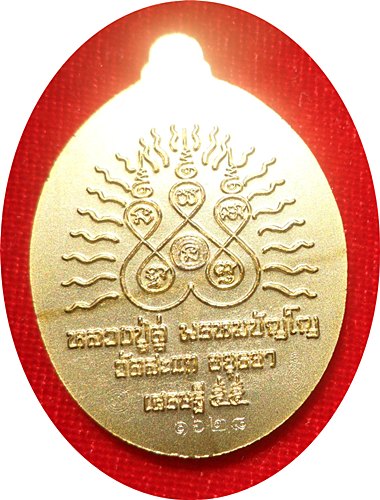 เหรียญเปิดโลกเศรษฐี๕๕หลวงปู่ดู่ พรหมฺปัญโญ วัดสะแก อยุธยาเนื้อทองแดง ชุบทองด้านหมายเลข ๑๖๒๘