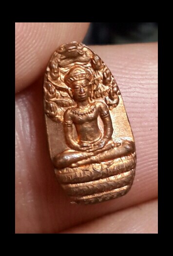 พระนาคปรก ใบมะขาม หลวงปู่เจือ วัดกลางบางแก้ว ปี 52