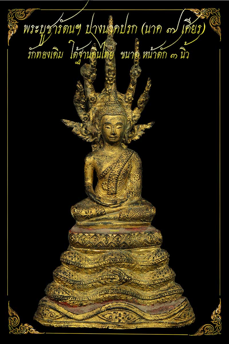 พระบูชารัตนฯ ปางนาตปรก องค์นี้นาคปรก 7 เศียร สภาพรักทองสมบูรณ์เดิม ๆ มาแล้วจ้า