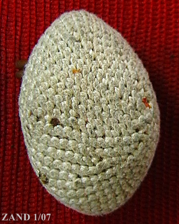 เบี้ยแก้ หลวงปู่เจือ วัดกลางบางแก้ว  ถักเชือกขาว  ตัวใหญ่