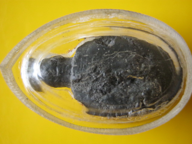 เต่า เนื้อชินเงิน ล.ป ศุข วัดปากคลองมะขามเฒ่า